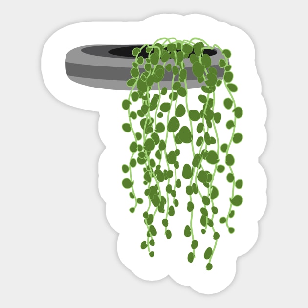 String of pearls in grey planter, succulents for crazy plant lady Sticker by Orangerinka